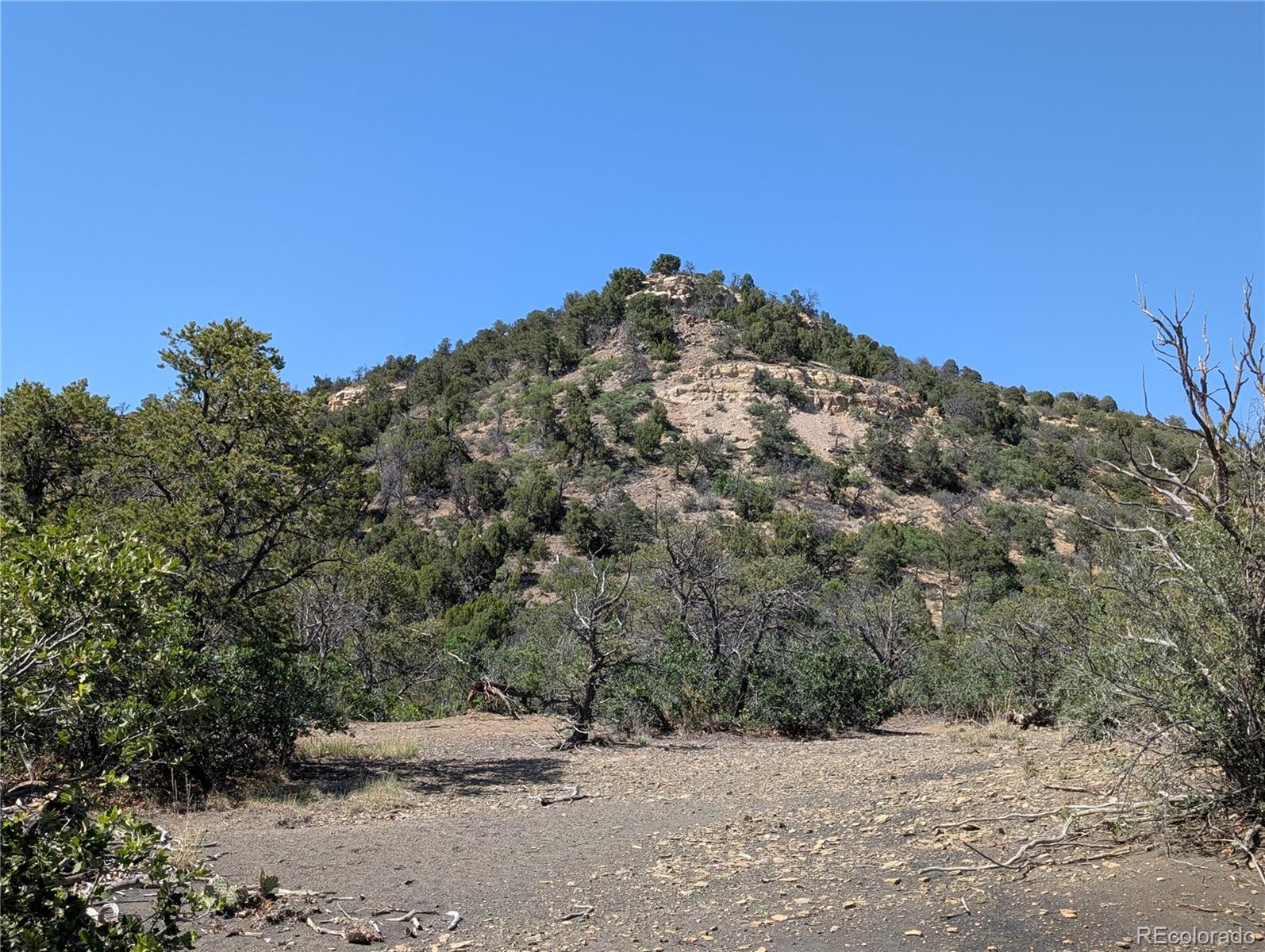 Fishers Peak Ranch Trinidad, CO 81082 - Photo 17 of 32