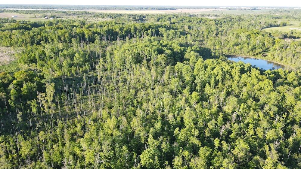 Vl Melcher Road Prescott, MI 48756 - Photo 21 of 65 DJI_0822