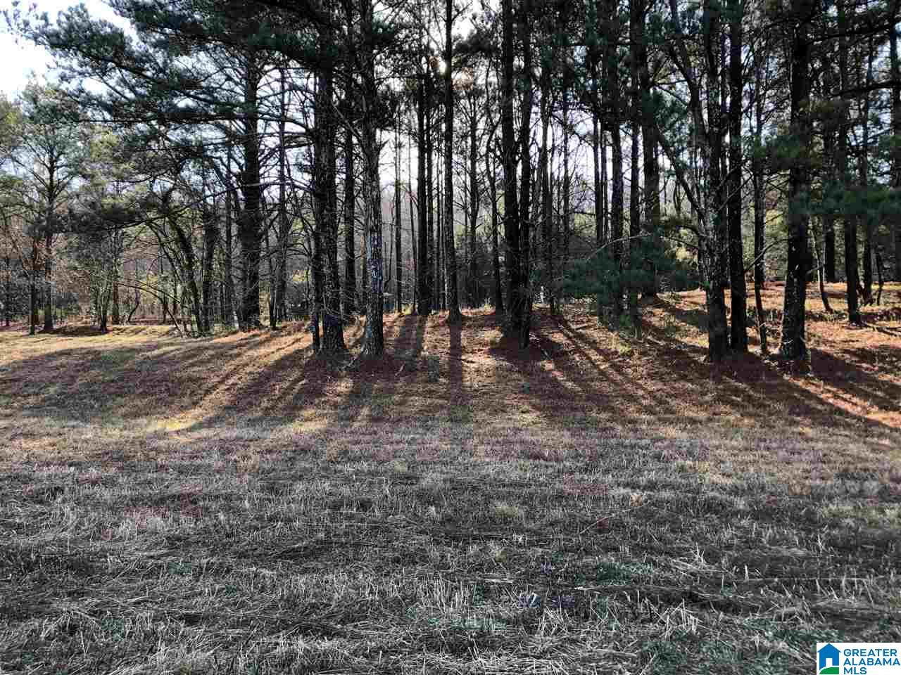 7950 Happy Hollow Road, Unit 2 Trussville, AL 35173 - Photo 5 of 12