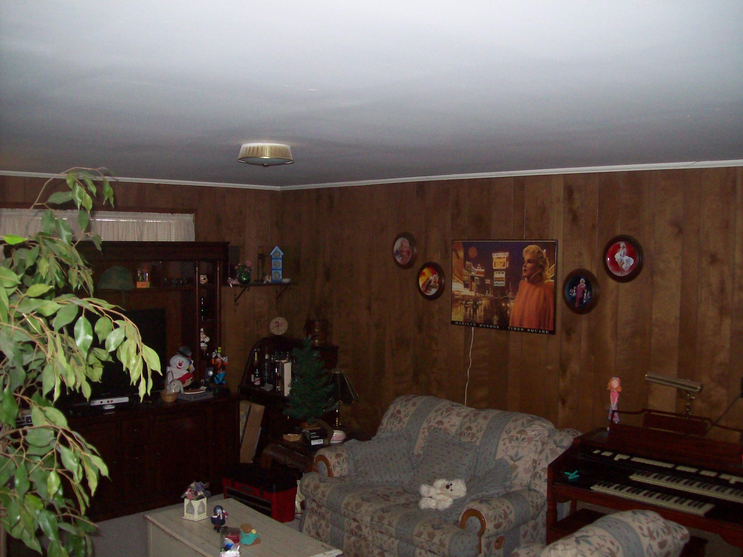5930 Plantation Road Roanoke, VA 24019 - Photo 10 of 13 family room