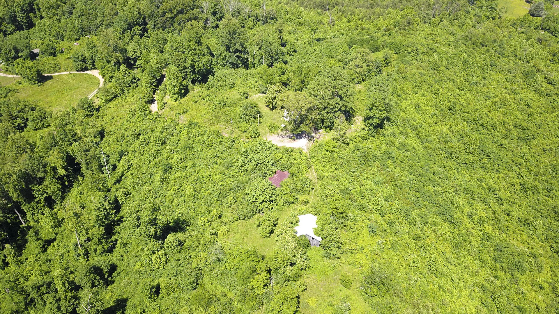2111 Crumley Road Greenback, TN 37742 - Photo 12 of 19 a view of a big yard