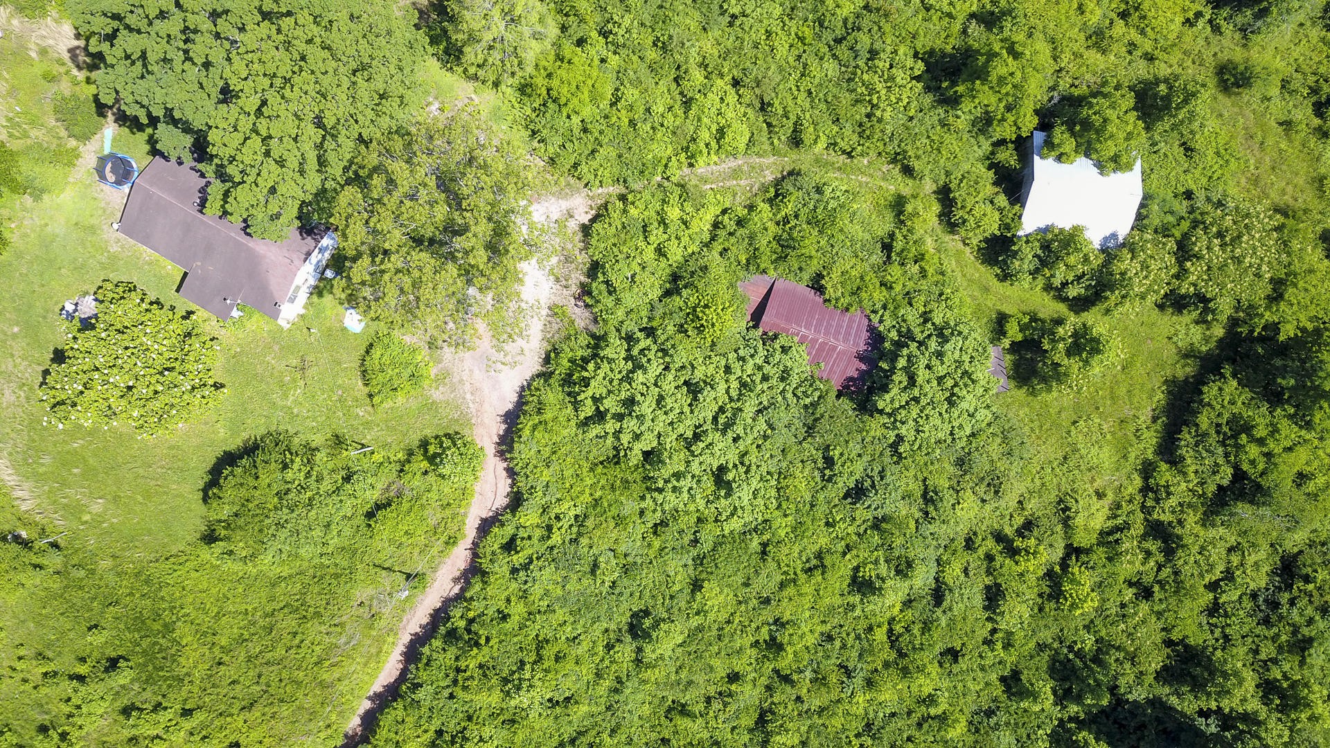 2111 Crumley Road Greenback, TN 37742 - Photo 13 of 19 a backyard of a house with lots of green space