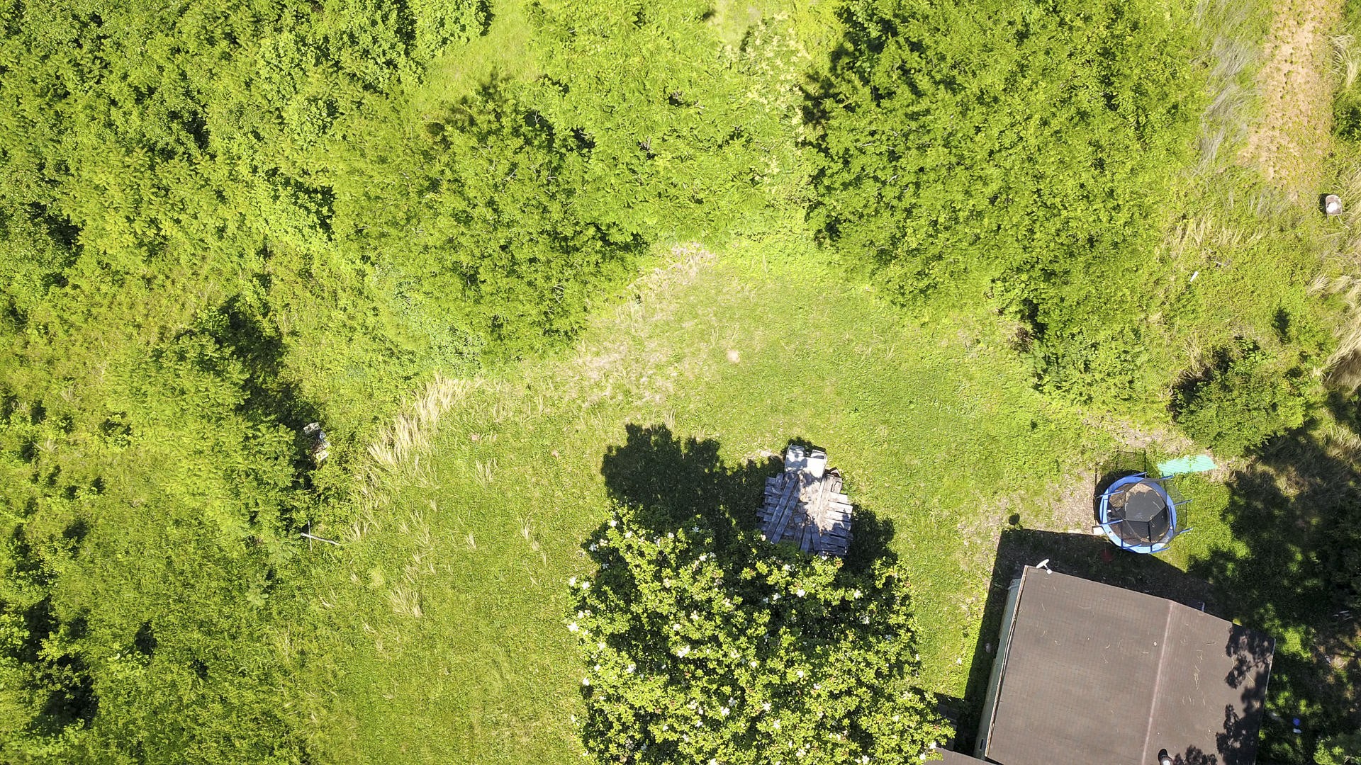 2111 Crumley Road Greenback, TN 37742 - Photo 14 of 19 a view of a garden with plants and large trees