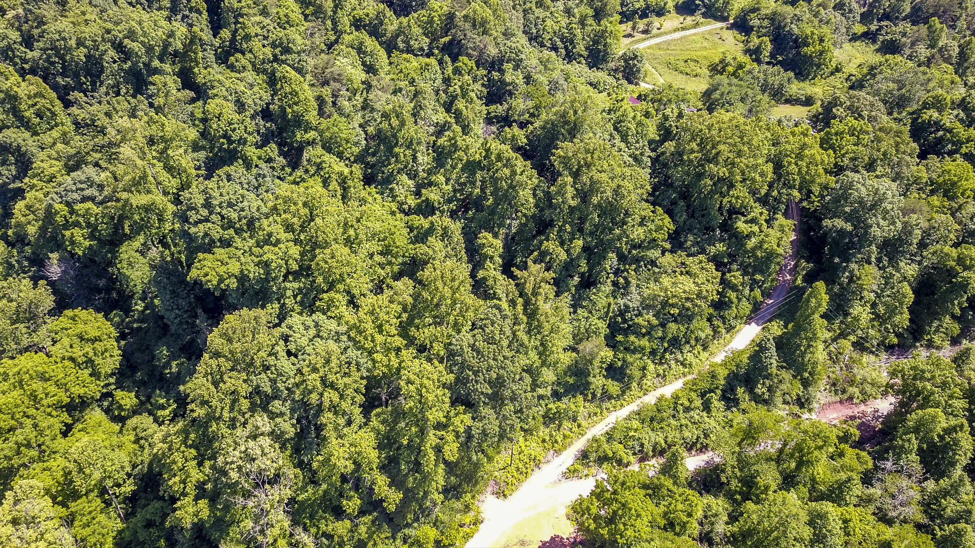 2111 Crumley Road Greenback, TN 37742 - Photo 4 of 19 a view of a lush green field
