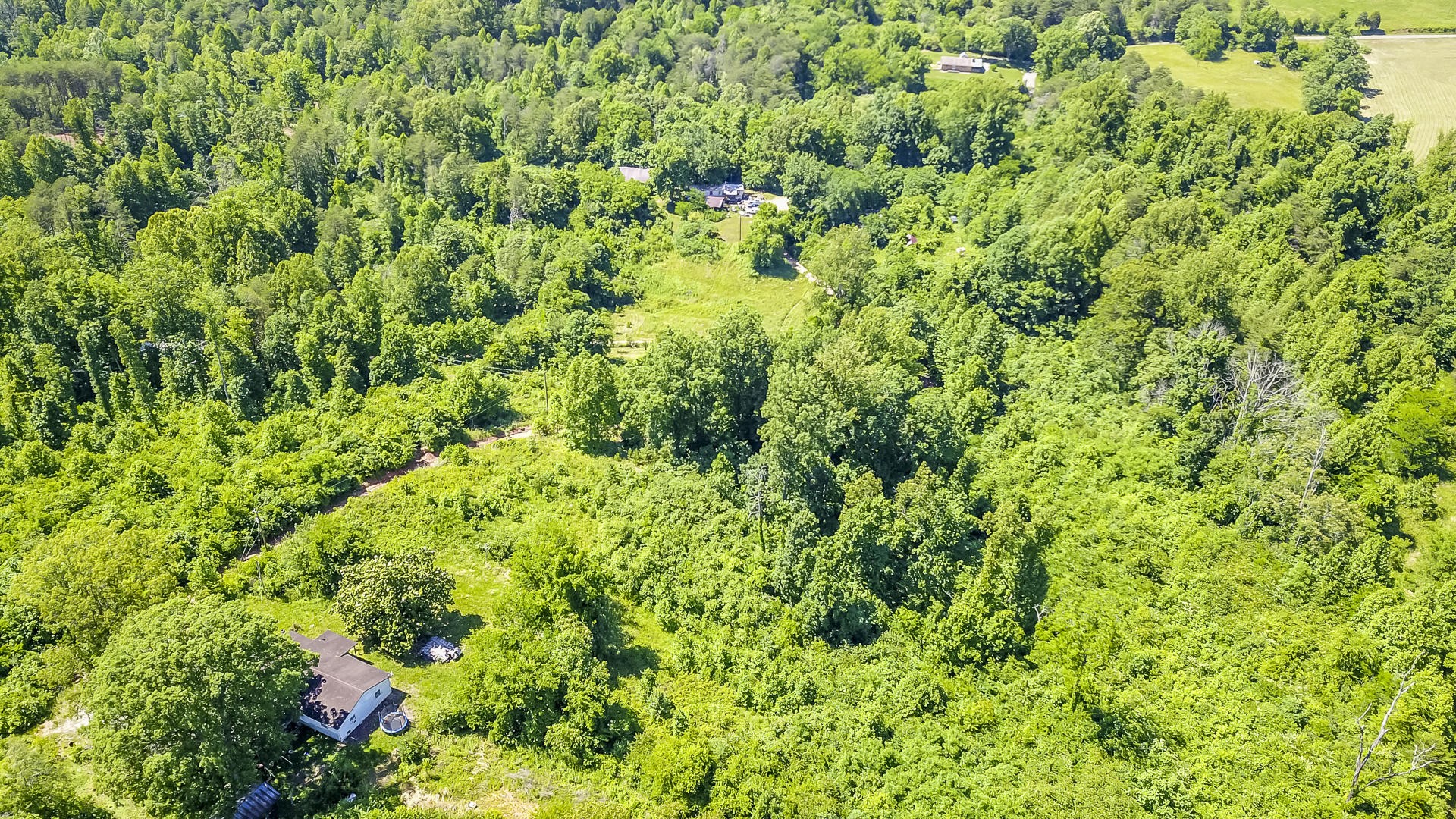 2111 Crumley Road Greenback, TN 37742 - Photo 6 of 19 a view of a lush green forest
