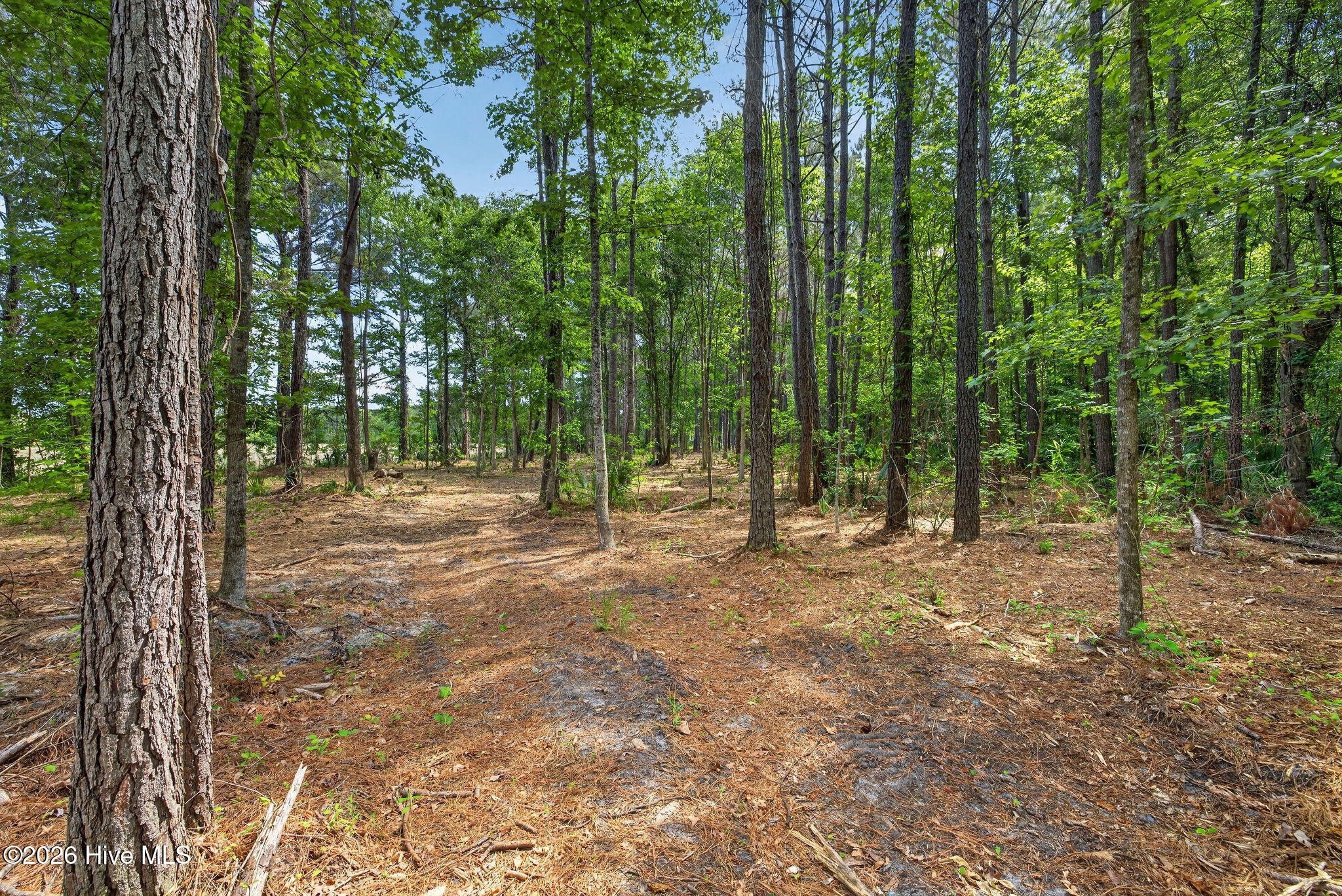 451 Governors Road Southeast Winnabow, NC 28479 - Photo 55 of 60 451GovernorsRoadSE-20
