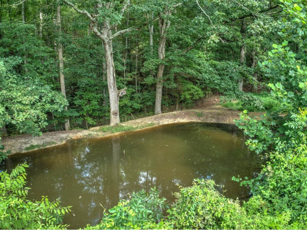 372 Sam Aiken Road Telford, TN 37690 - Photo 31 of 36 Farm Pond