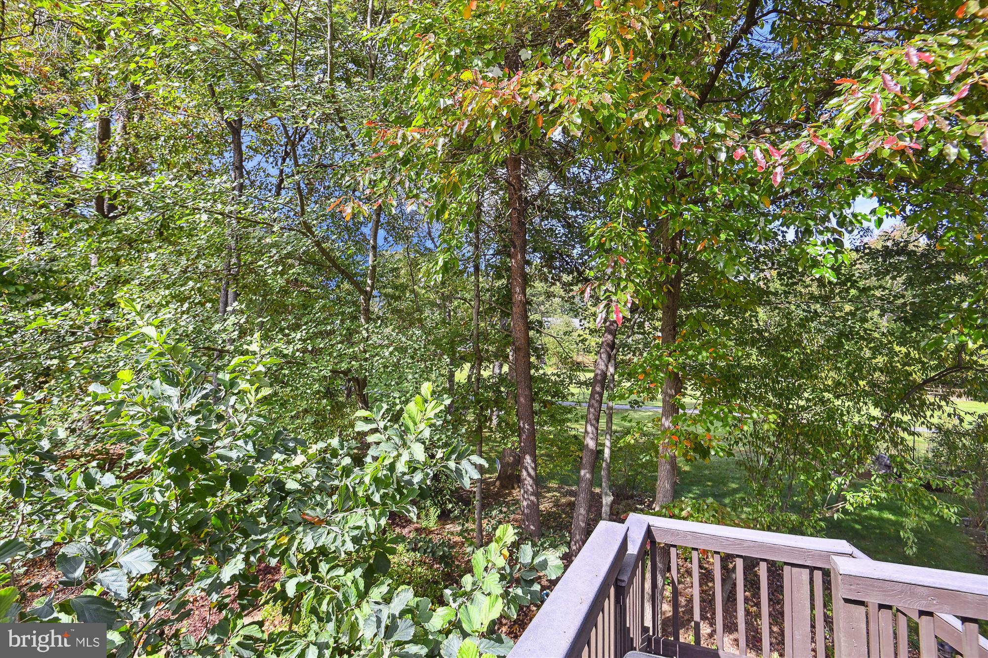 11009 Ring Road Reston, VA 20190 - Photo 38 of 52