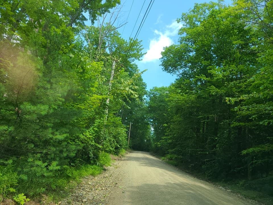 0 Youngs Hill Road Loudon, NH 03307 - Photo 3 of 17 Gallery Image 3