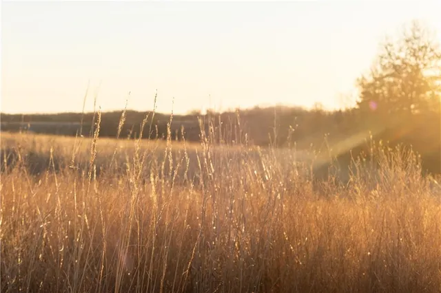 $144,900 | East 240th Street, Ridgeway, MO 64481