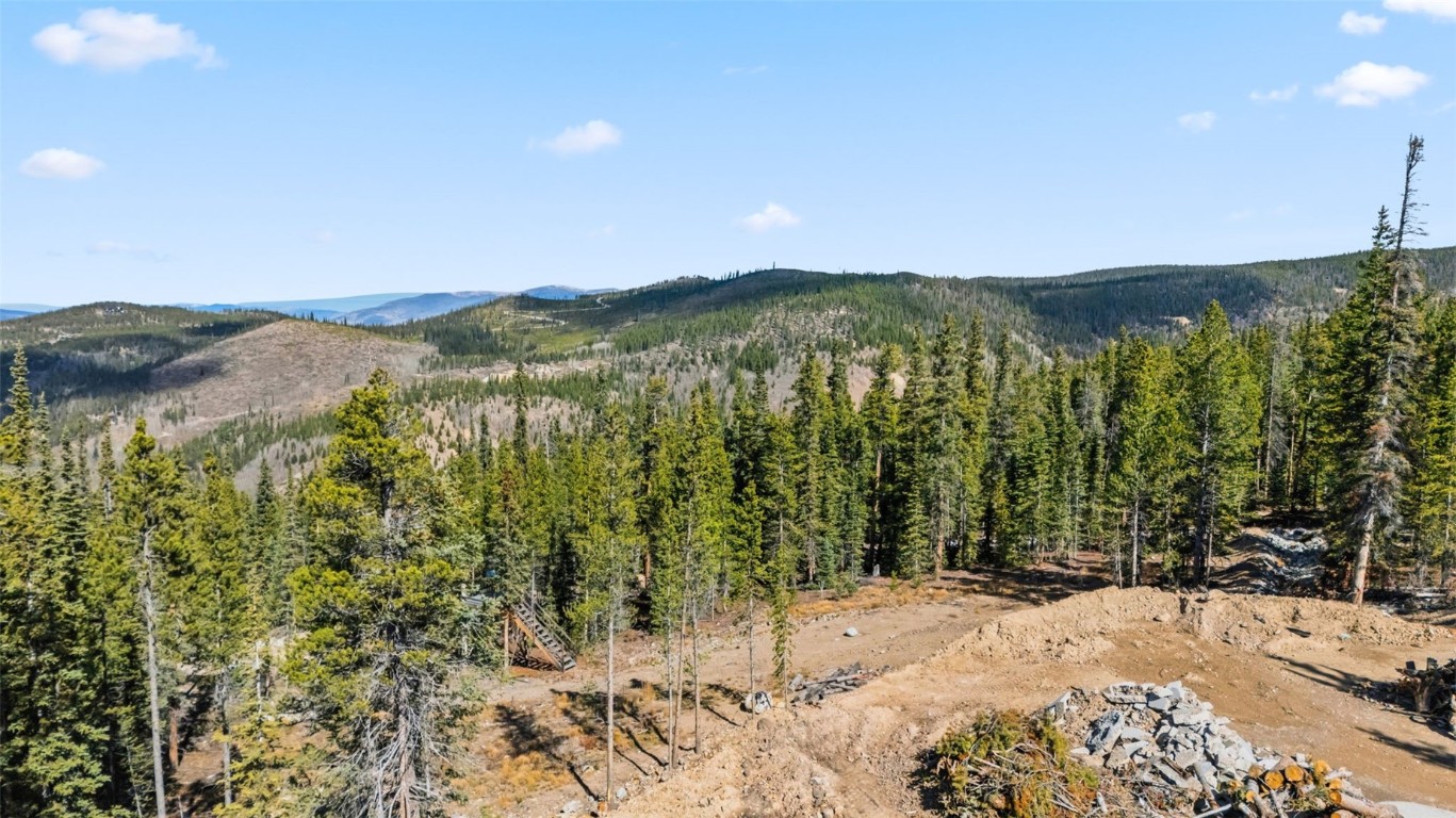 115 Sallie Barber Road Breckenridge, CO 80424 - Photo 12 of 15 a view of a backyard with trees