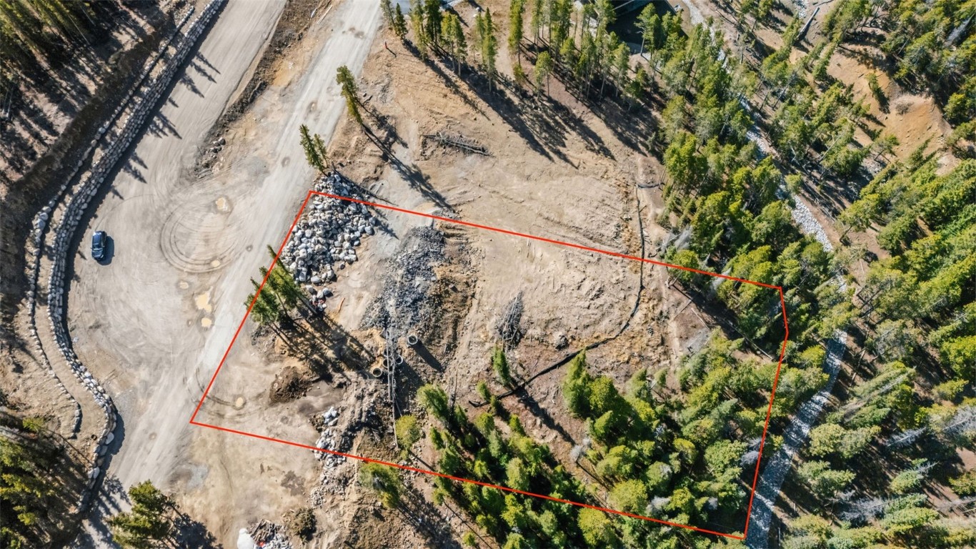 115 Sallie Barber Road Breckenridge, CO 80424 - Photo 2 of 15 a view of a tree in a backyard of a house