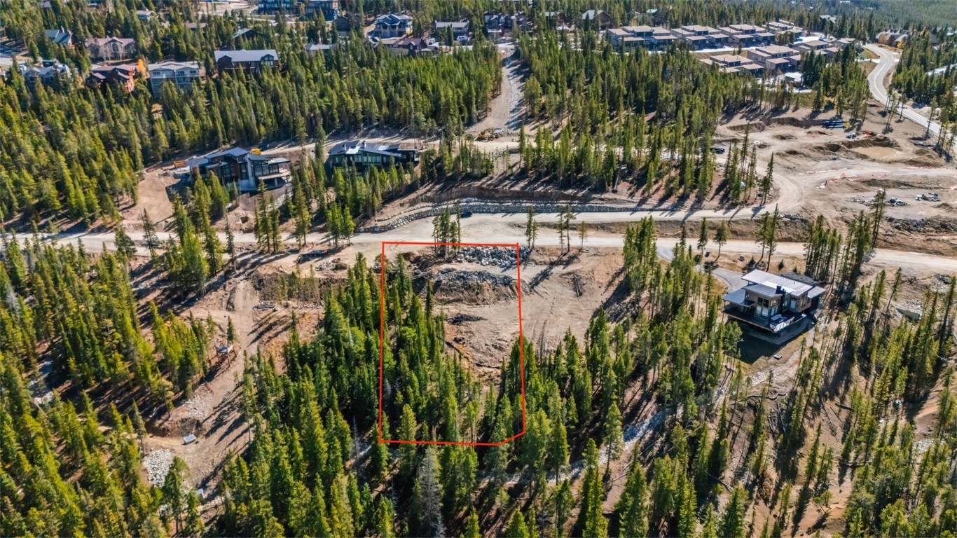 115 Sallie Barber Road Breckenridge, CO 80424 - Photo 5 of 15 a view of a plant in a garden