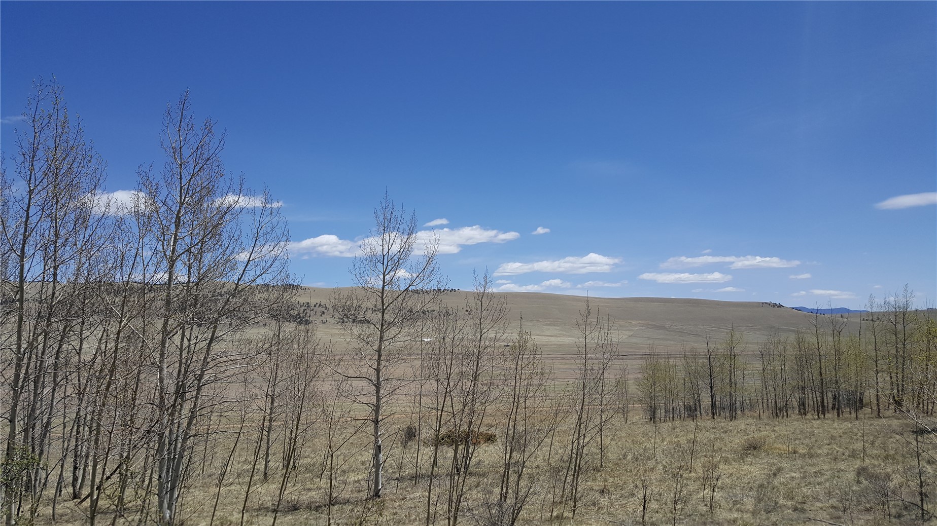 Lot 131 Redhill Road Fairplay, CO 80440 - Photo 15 of 34 Gallery Image 15
