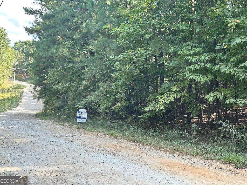 a view of a dirt road with trees in the background