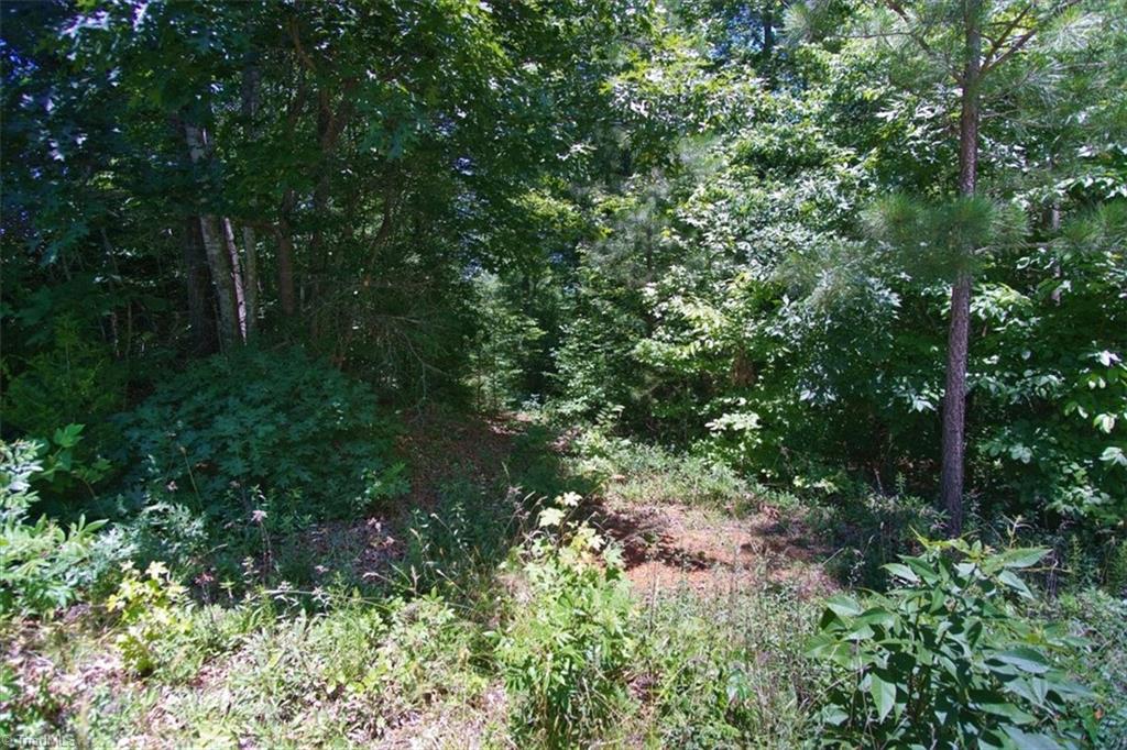439 Hunters Chase Road Lexington, NC 27292 - Photo 14 of 16