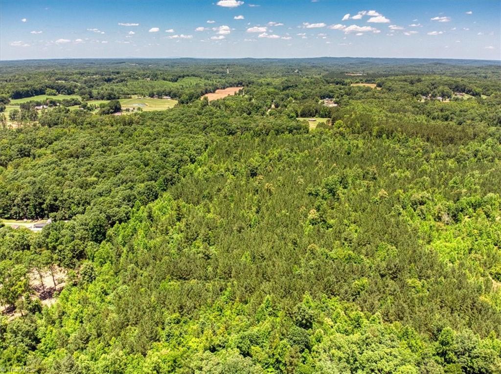 439 Hunters Chase Road Lexington, NC 27292 - Photo 7 of 16