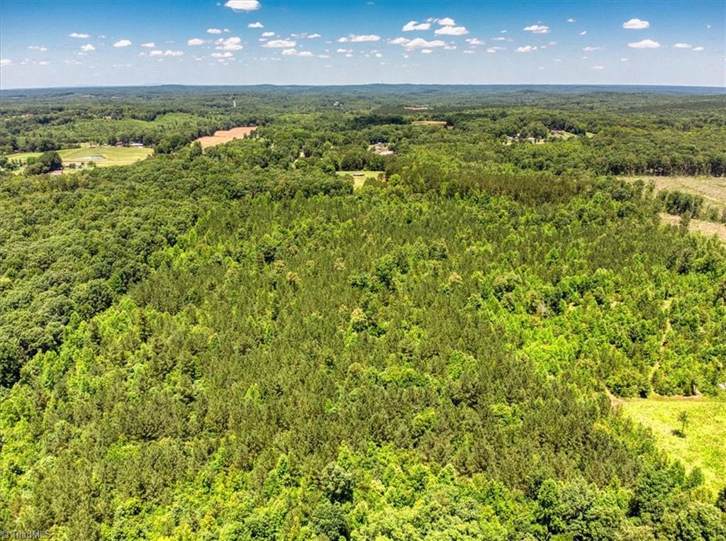 439 Hunters Chase Road Lexington, NC 27292 - Photo 8 of 16