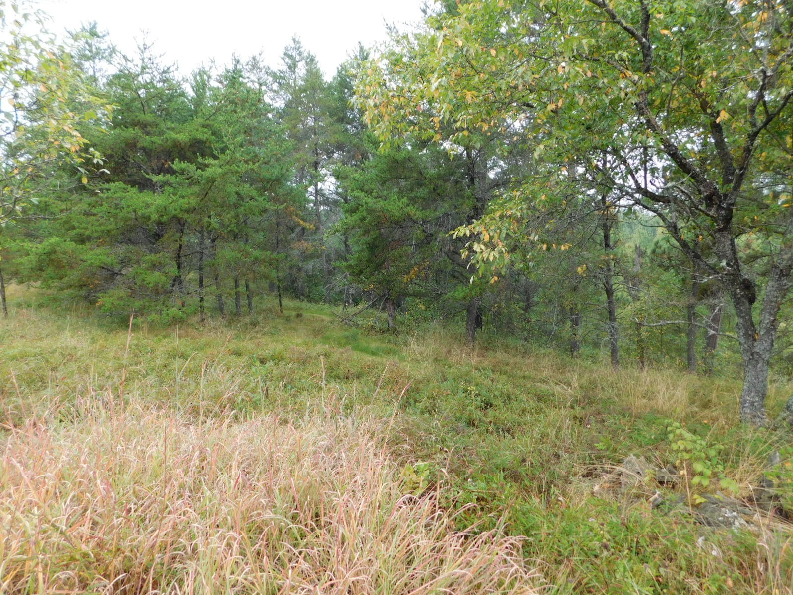 5137 Meridian Road Lewiston, MI 49756 - Photo 48 of 56 Gallery Image 48