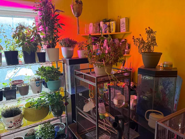 $210,000 | 86 Raymond Street, Lyndon, VT 05851