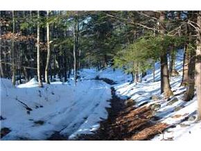 L/o Foster Pond Road Alexandria, NH 03222 - Photo 4 of 4 Gallery Image 4