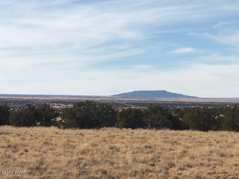 6069 Wide Sky Road, Unit 4 Heber, AZ 85928 - Photo 2 of 27