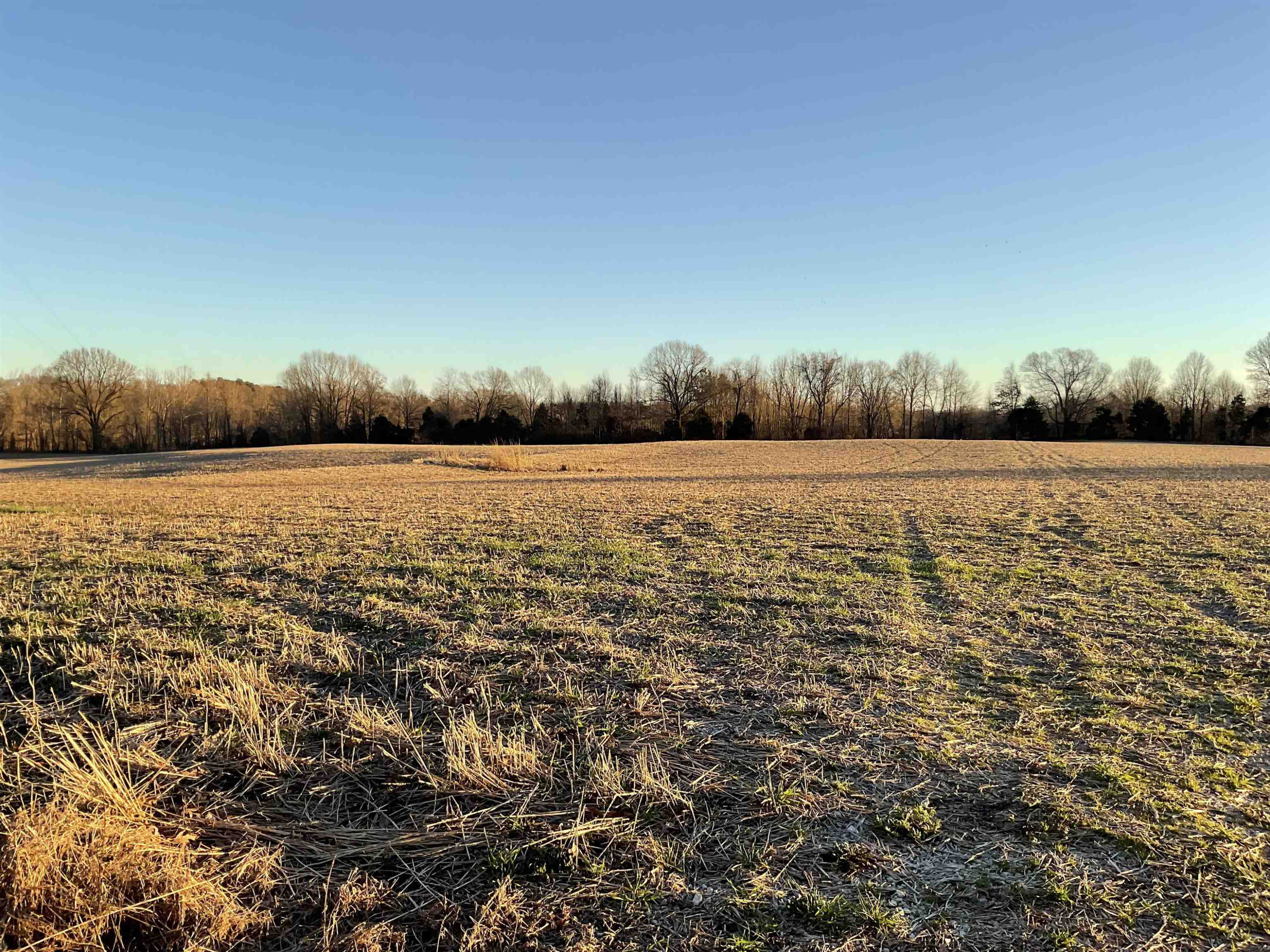 2424 Old Jackson Road Bells, TN 38006 - Photo 3 of 3 Photo 3