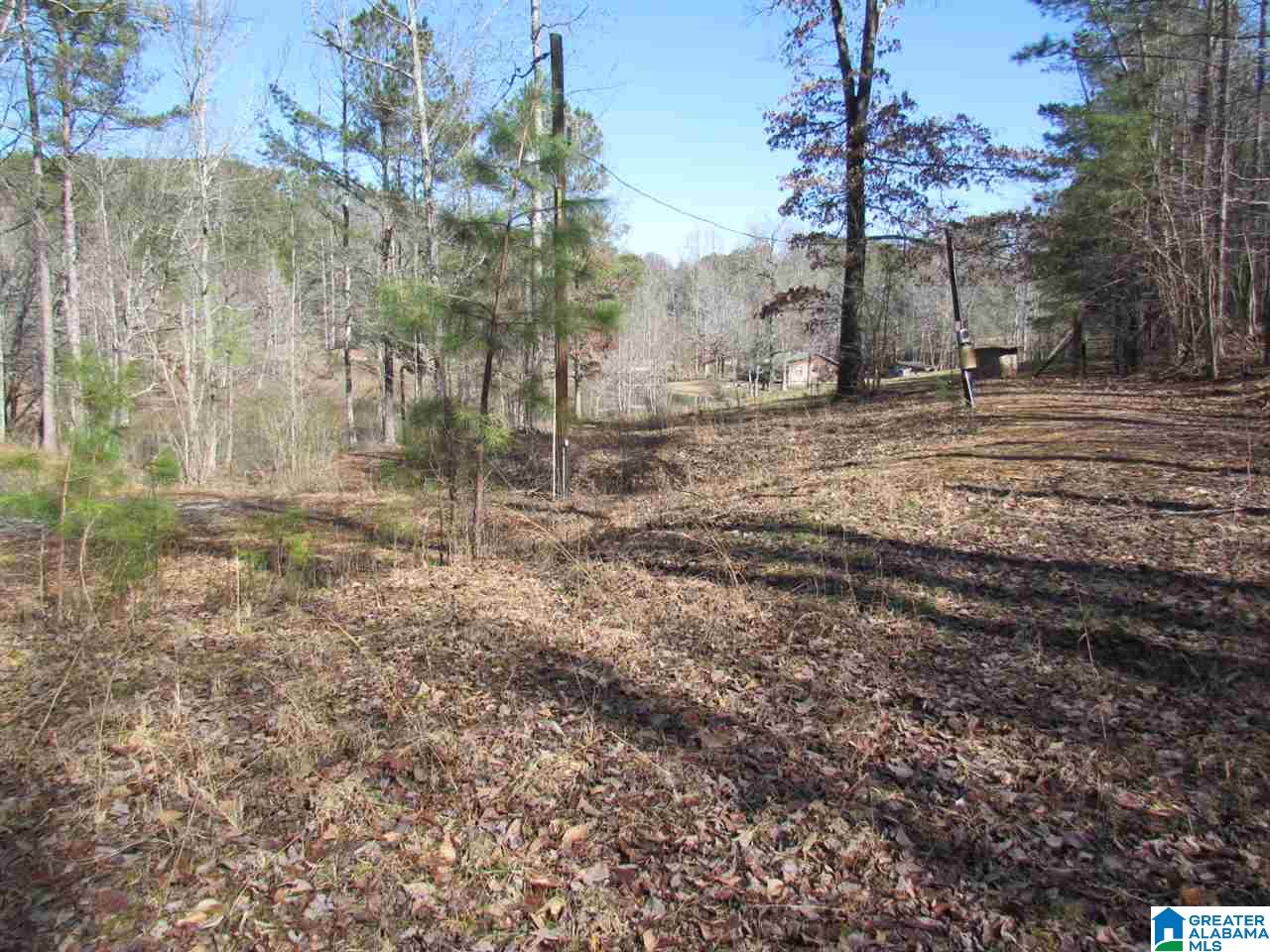 7668 Rabbittown Road Piedmont, AL 36272 - Photo 44 of 49