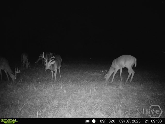0 Tillman Eason Road Claxton, GA 30417 - Photo 23 of 28
