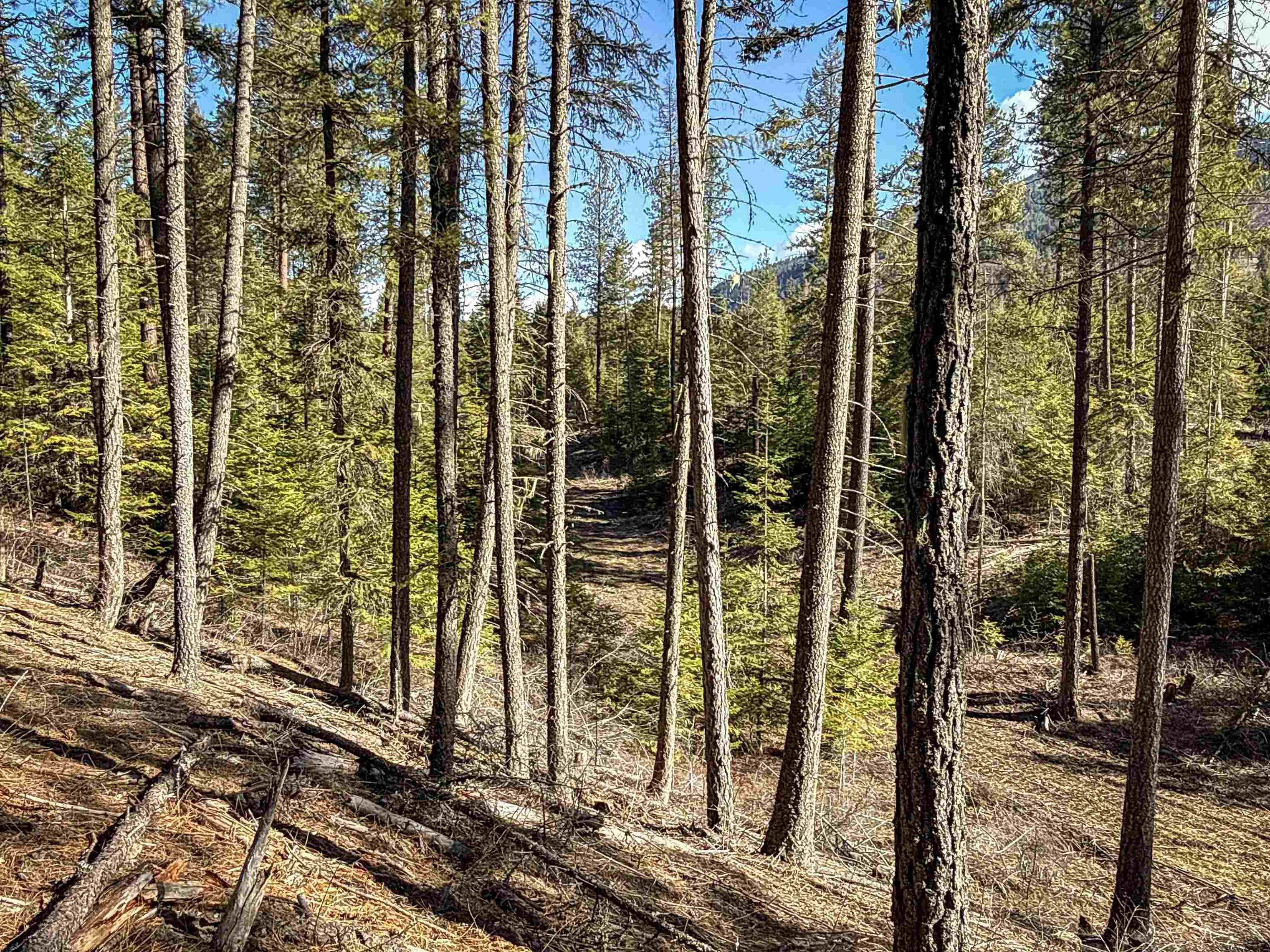 326 Rd Cusick Wa 99119 Road Cusick, WA 99119 - Photo 11 of 39
