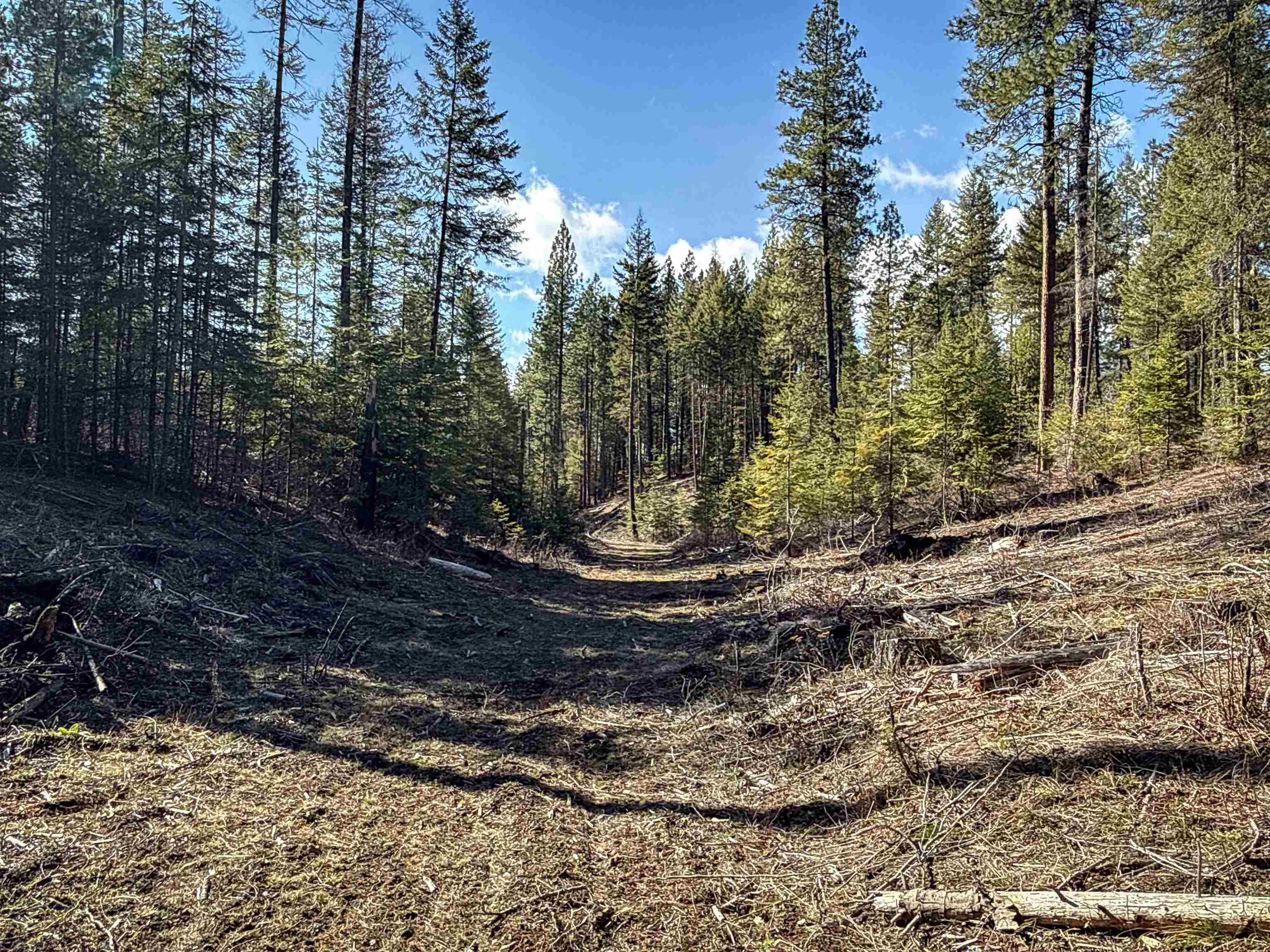 326 Rd Cusick Wa 99119 Road Cusick, WA 99119 - Photo 16 of 39