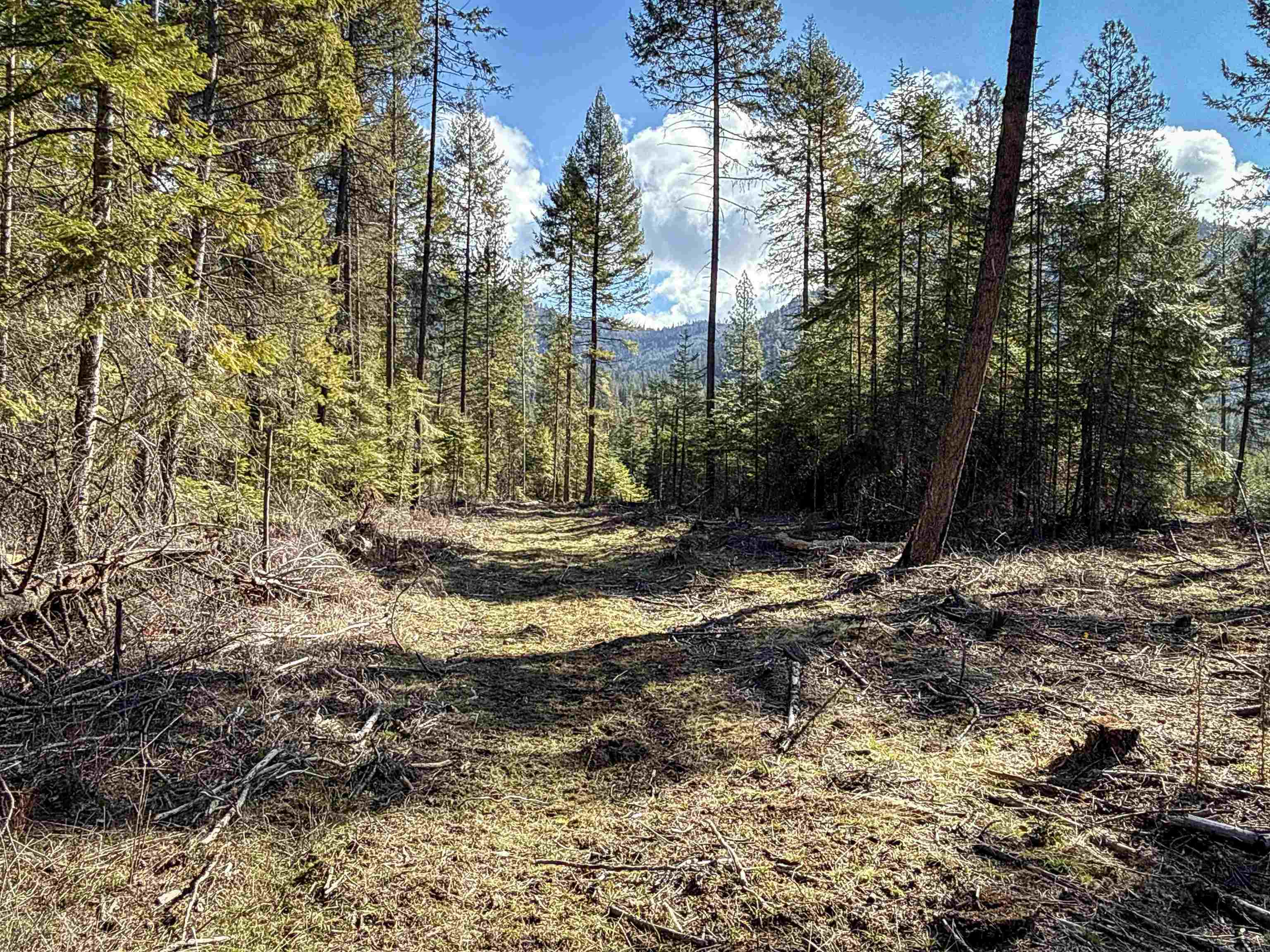 326 Rd Cusick Wa 99119 Road Cusick, WA 99119 - Photo 17 of 39