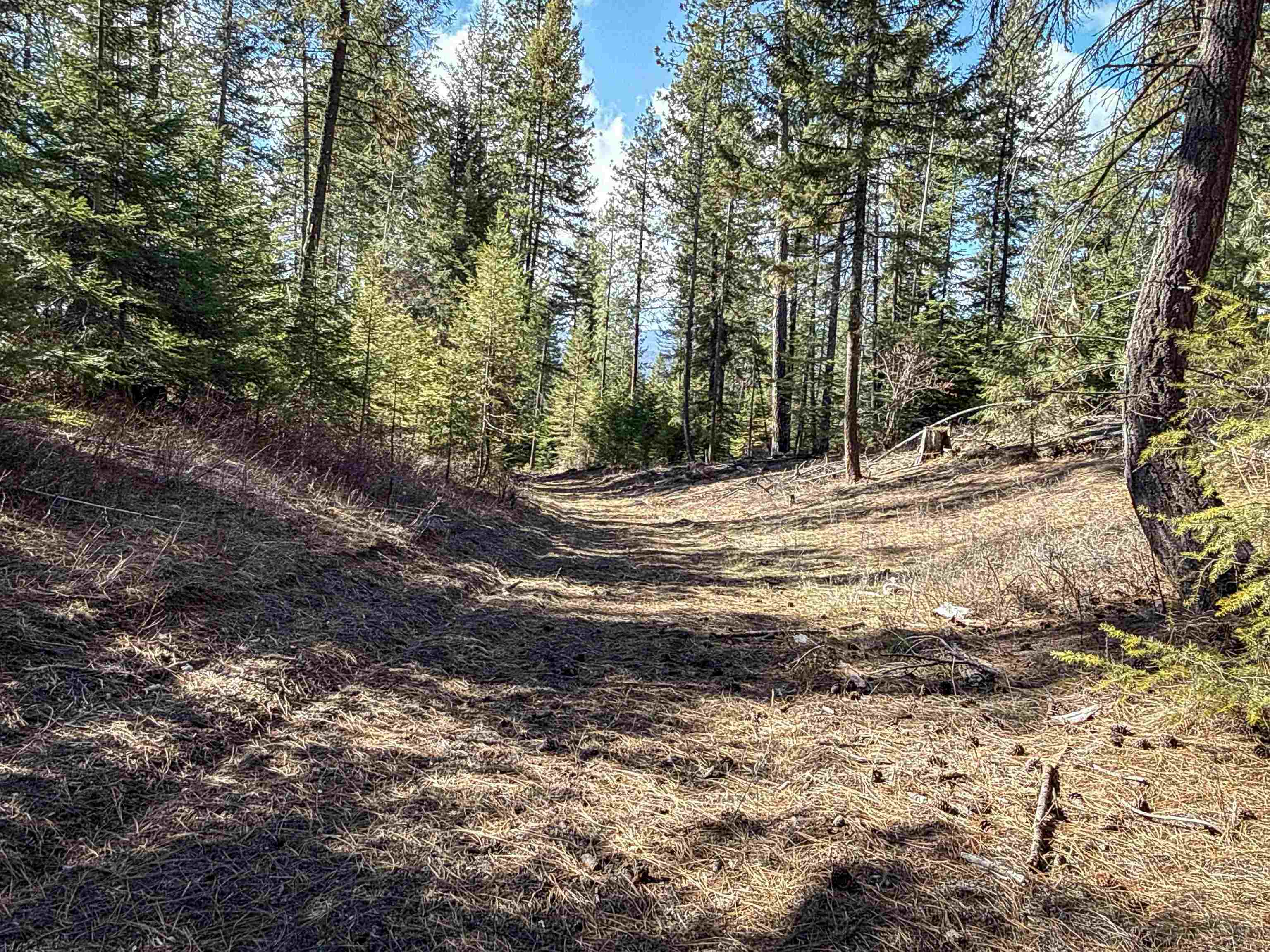 326 Rd Cusick Wa 99119 Road Cusick, WA 99119 - Photo 18 of 39