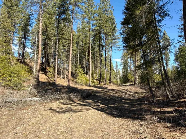 $170,000 | 326 Rd Cusick Wa 99119 Road, Cusick, WA 99119