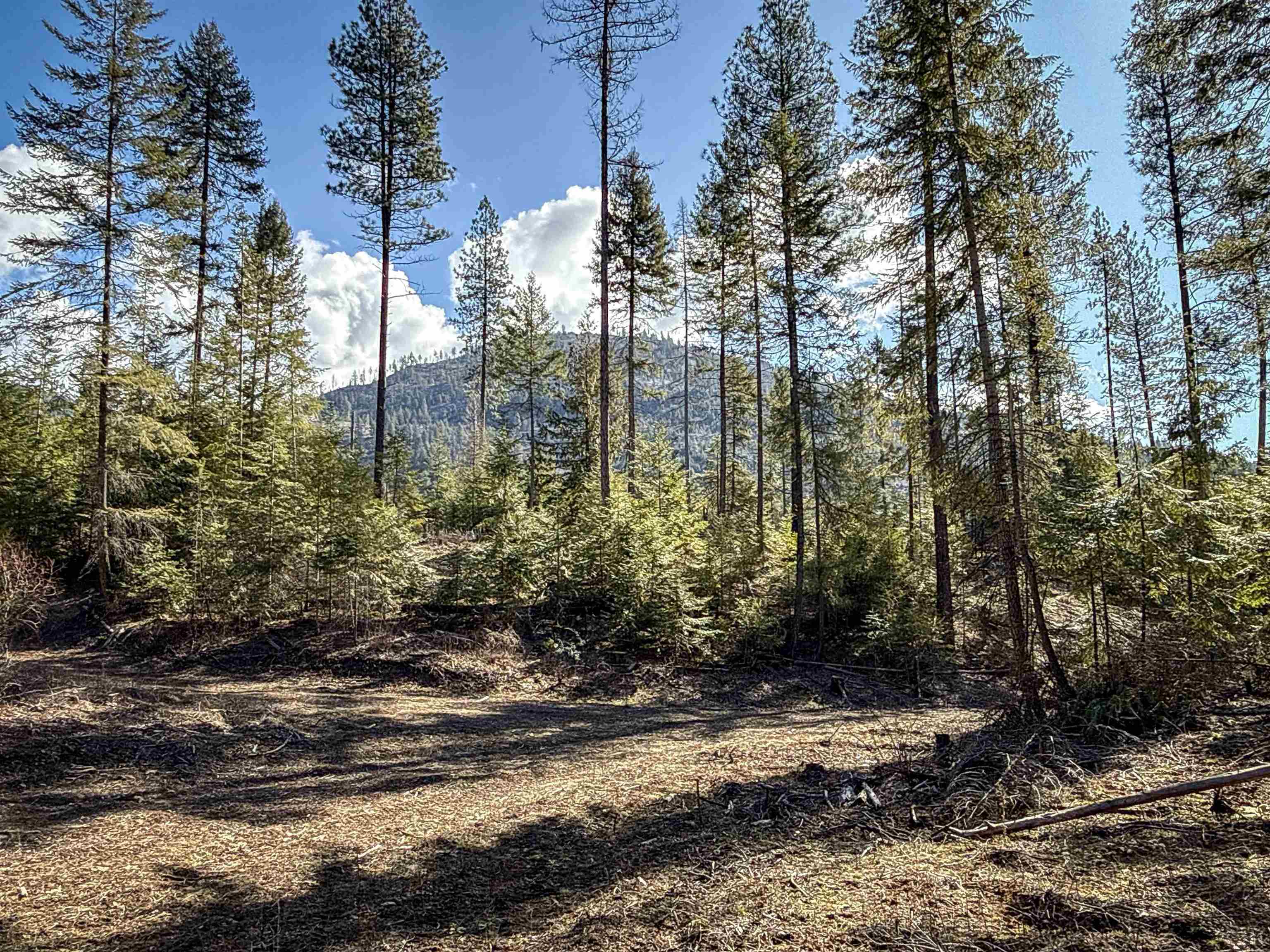326 Rd Cusick Wa 99119 Road Cusick, WA 99119 - Photo 20 of 39