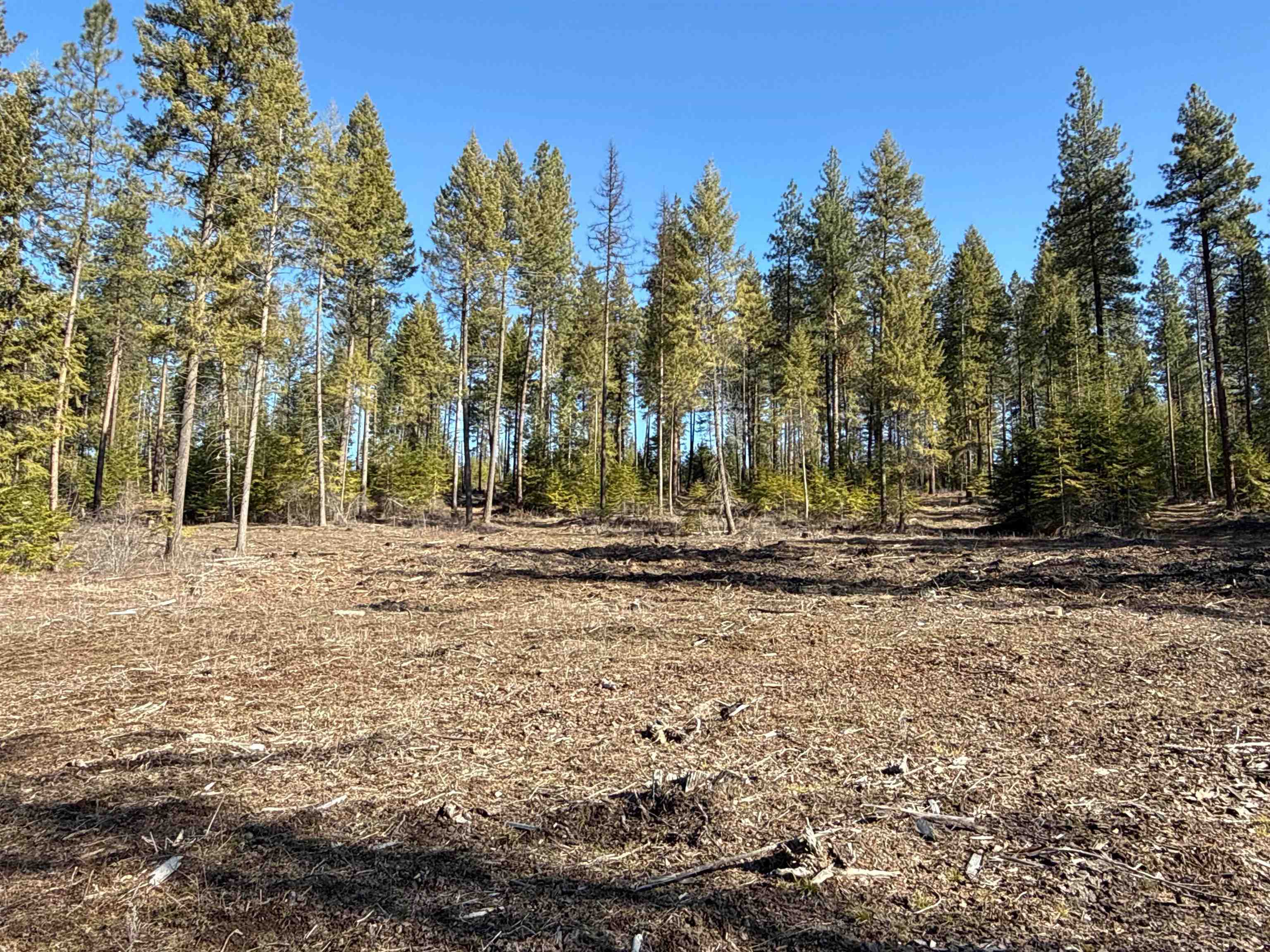 326 Rd Cusick Wa 99119 Road Cusick, WA 99119 - Photo 2 of 39