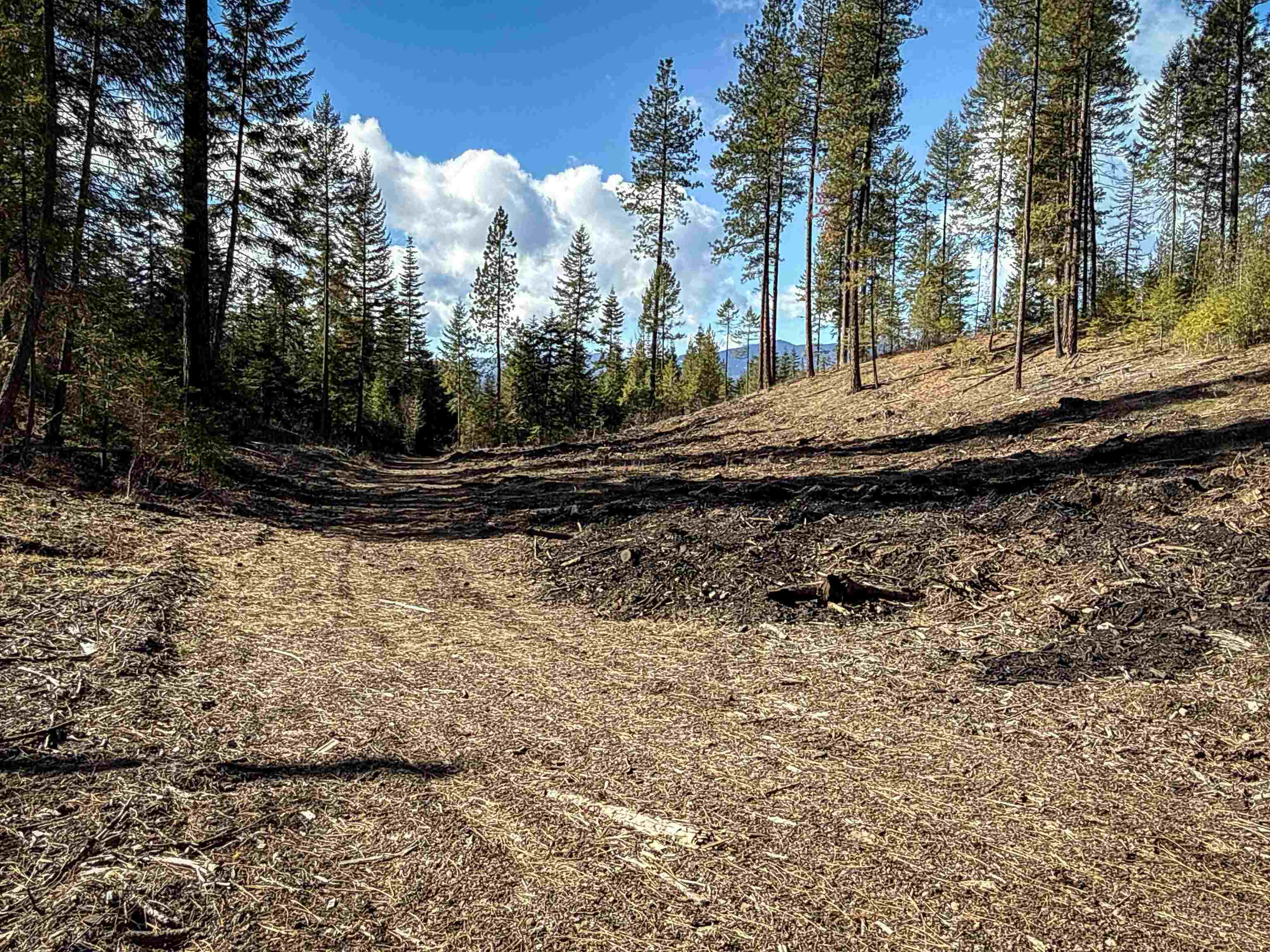 326 Rd Cusick Wa 99119 Road Cusick, WA 99119 - Photo 21 of 39