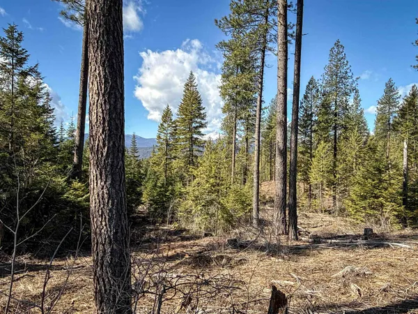 $170,000 | 326 Rd Cusick Wa 99119 Road, Cusick, WA 99119