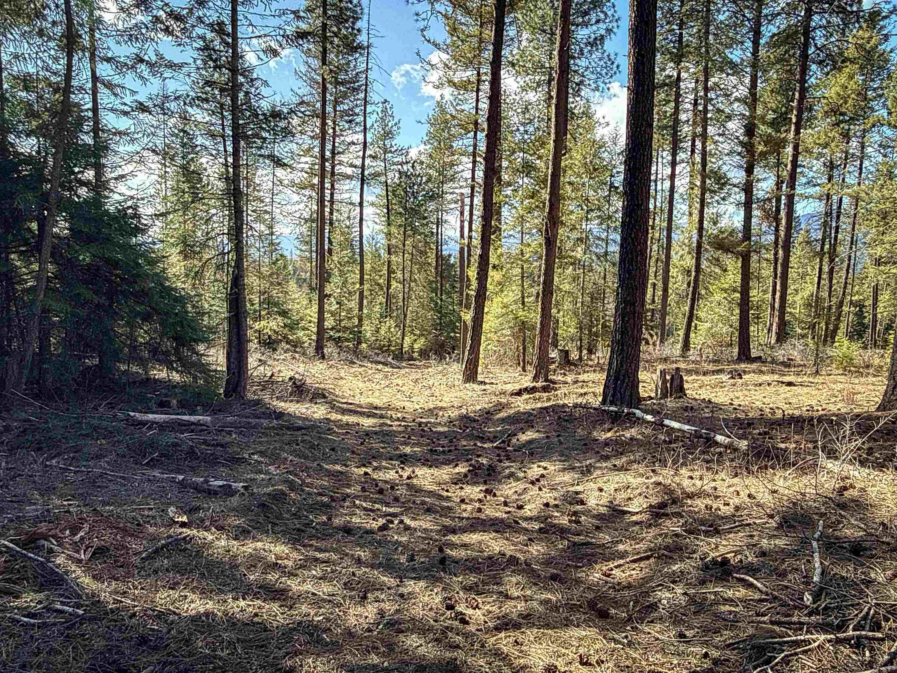 326 Rd Cusick Wa 99119 Road Cusick, WA 99119 - Photo 28 of 39