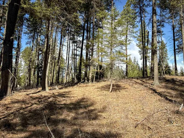$170,000 | 326 Rd Cusick Wa 99119 Road, Cusick, WA 99119