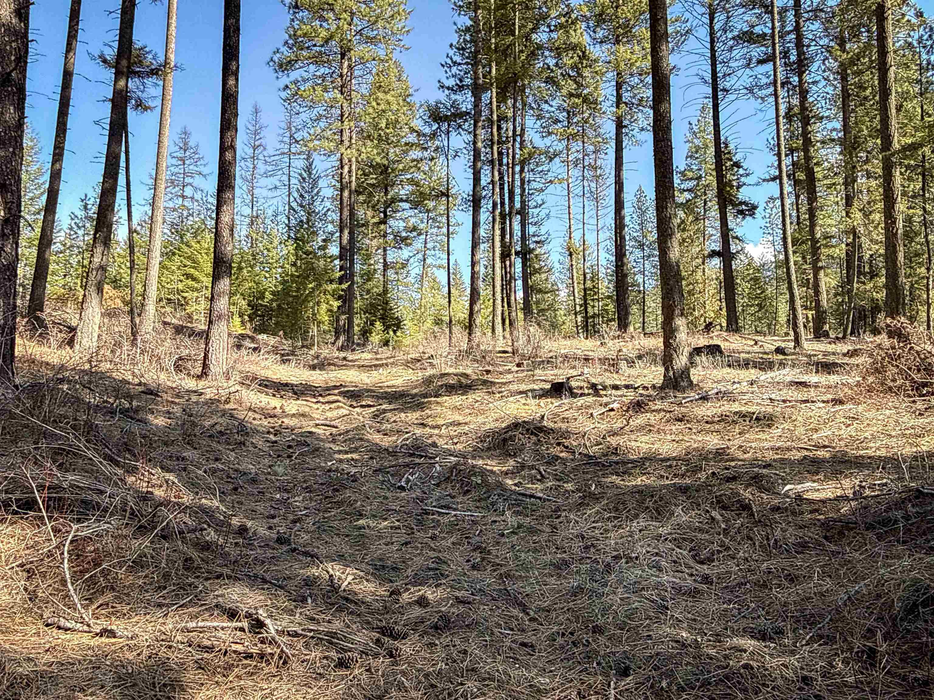 326 Rd Cusick Wa 99119 Road Cusick, WA 99119 - Photo 30 of 39