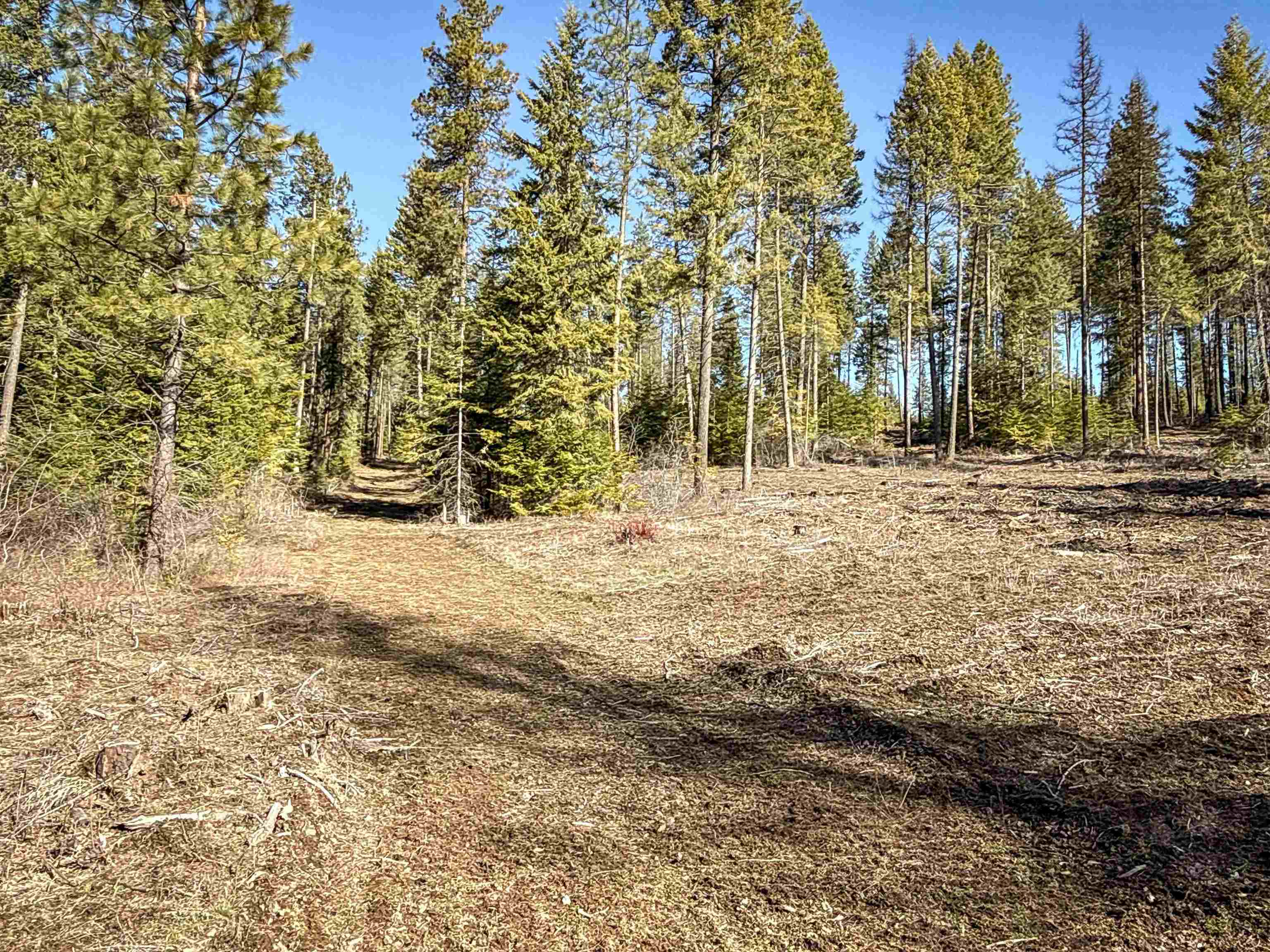 326 Rd Cusick Wa 99119 Road Cusick, WA 99119 - Photo 3 of 39