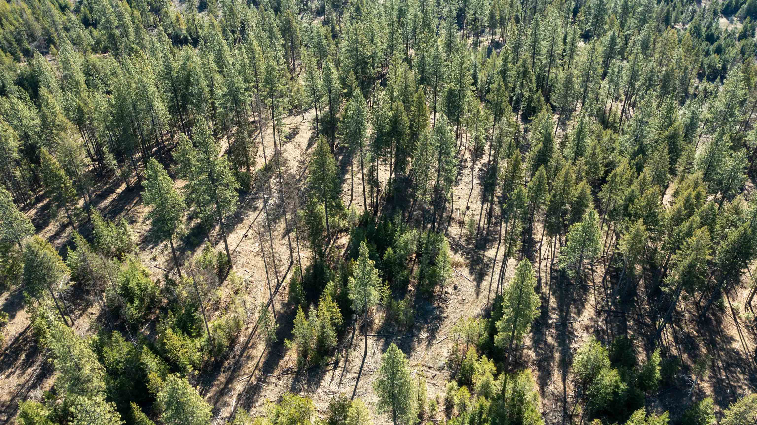 326 Rd Cusick Wa 99119 Road Cusick, WA 99119 - Photo 31 of 39