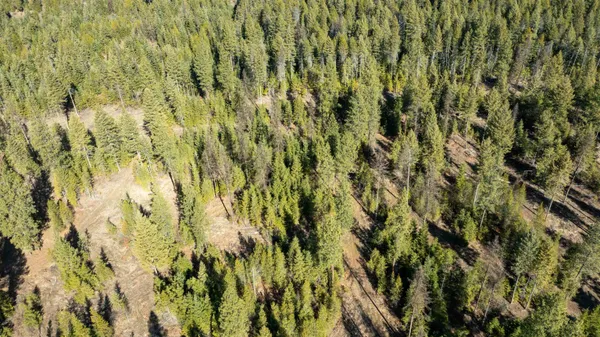 $170,000 | 326 Rd Cusick Wa 99119 Road, Cusick, WA 99119