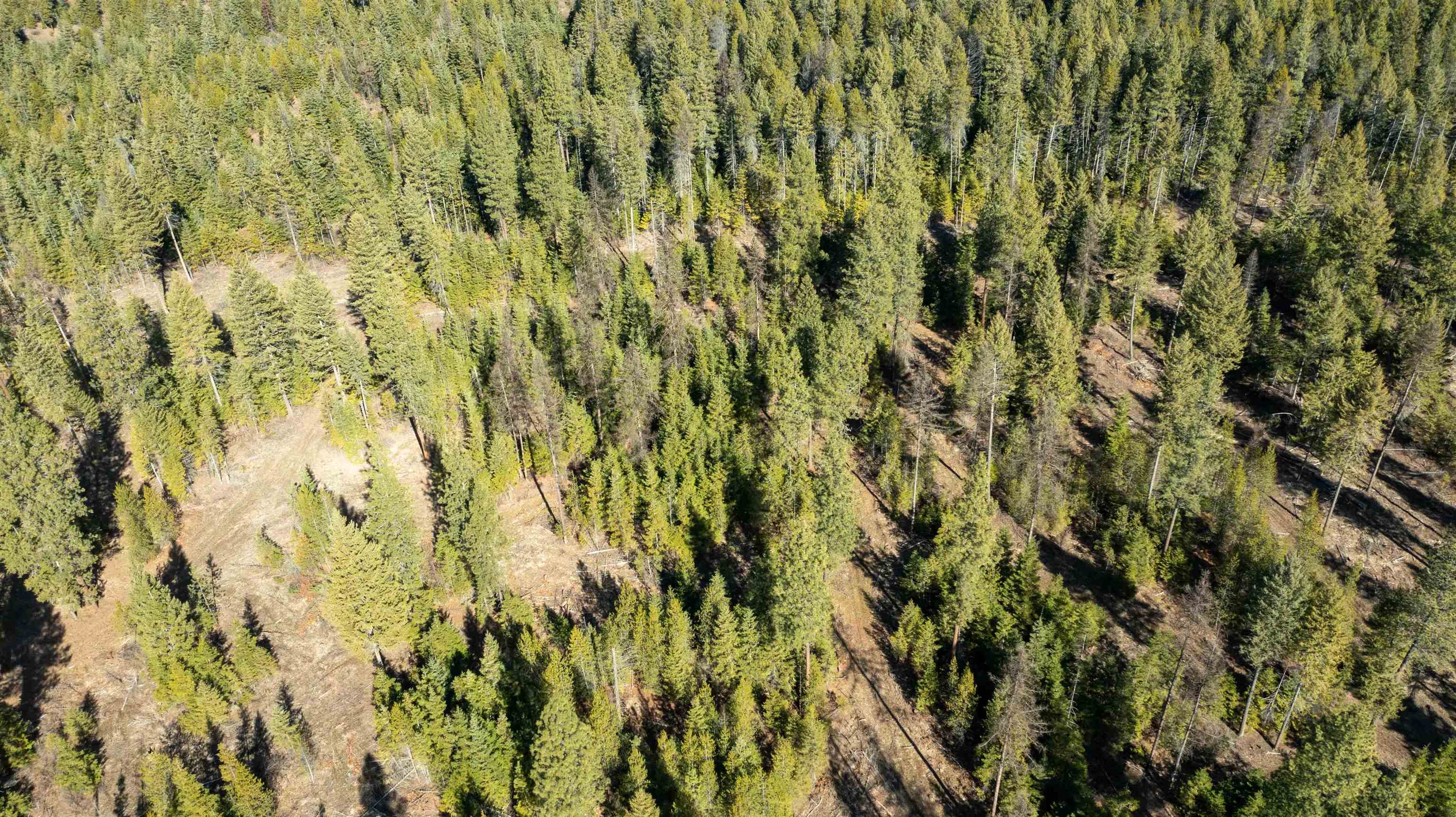 326 Rd Cusick Wa 99119 Road Cusick, WA 99119 - Photo 33 of 39