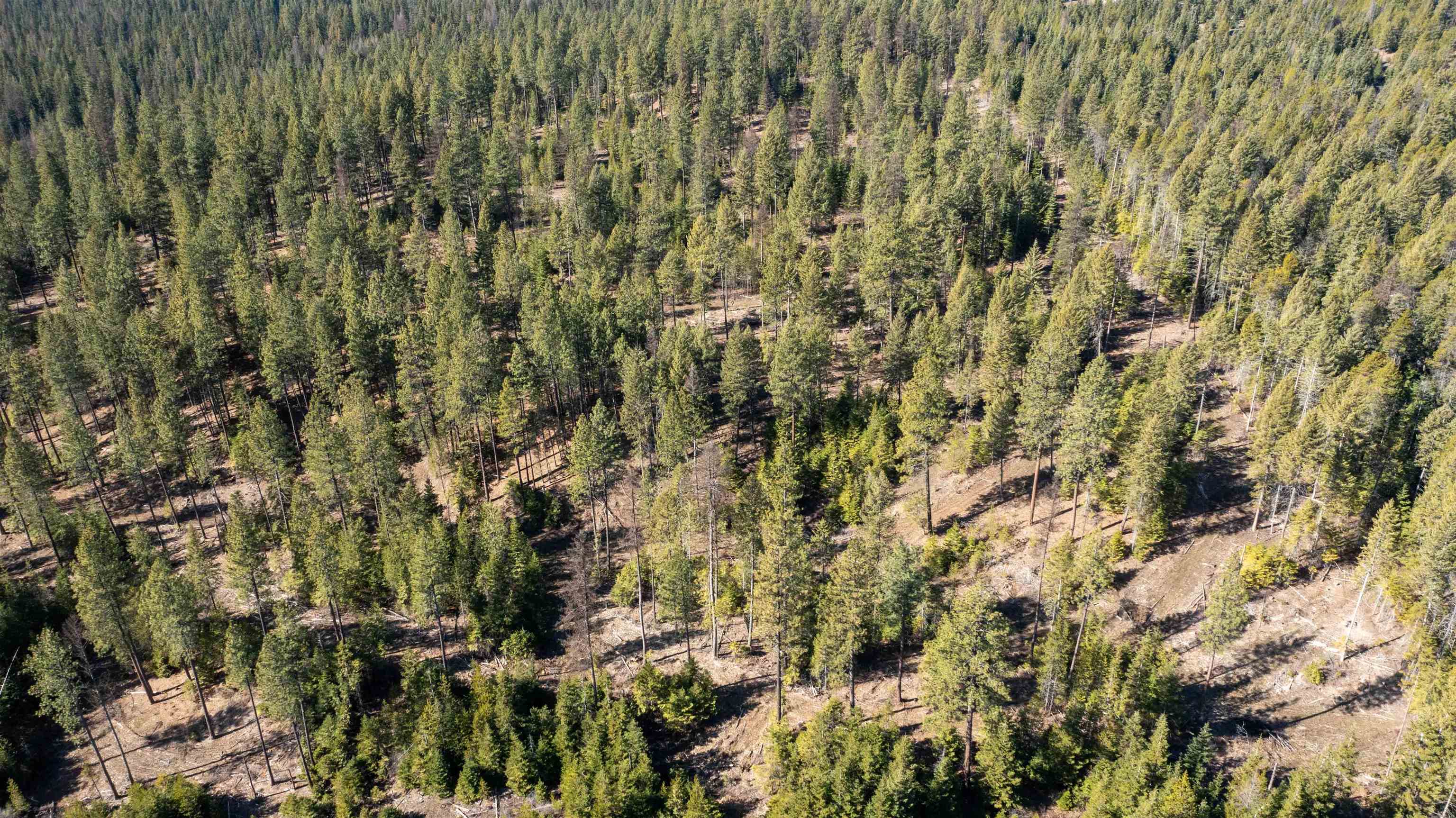 326 Rd Cusick Wa 99119 Road Cusick, WA 99119 - Photo 34 of 39
