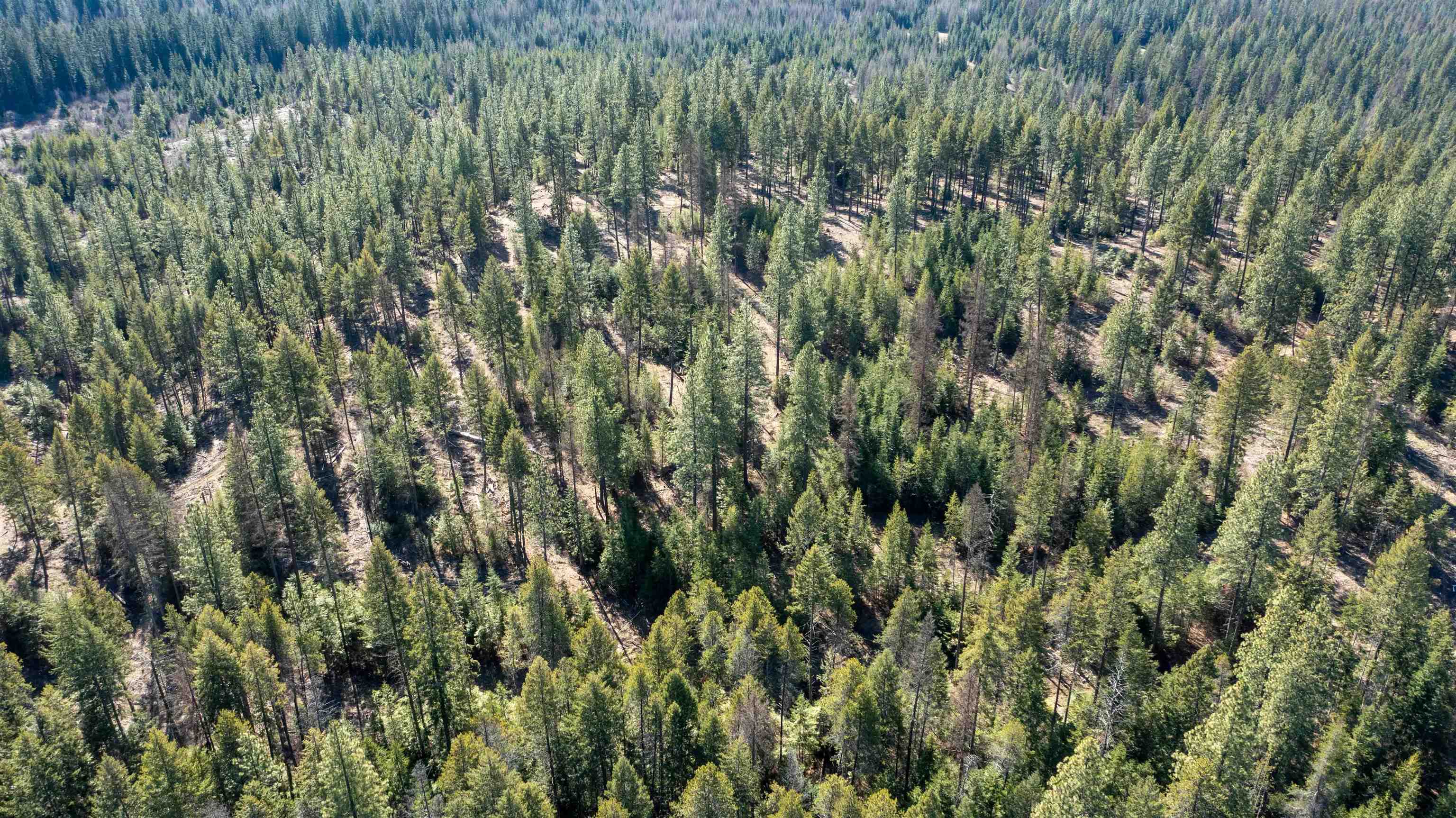 326 Rd Cusick Wa 99119 Road Cusick, WA 99119 - Photo 36 of 39