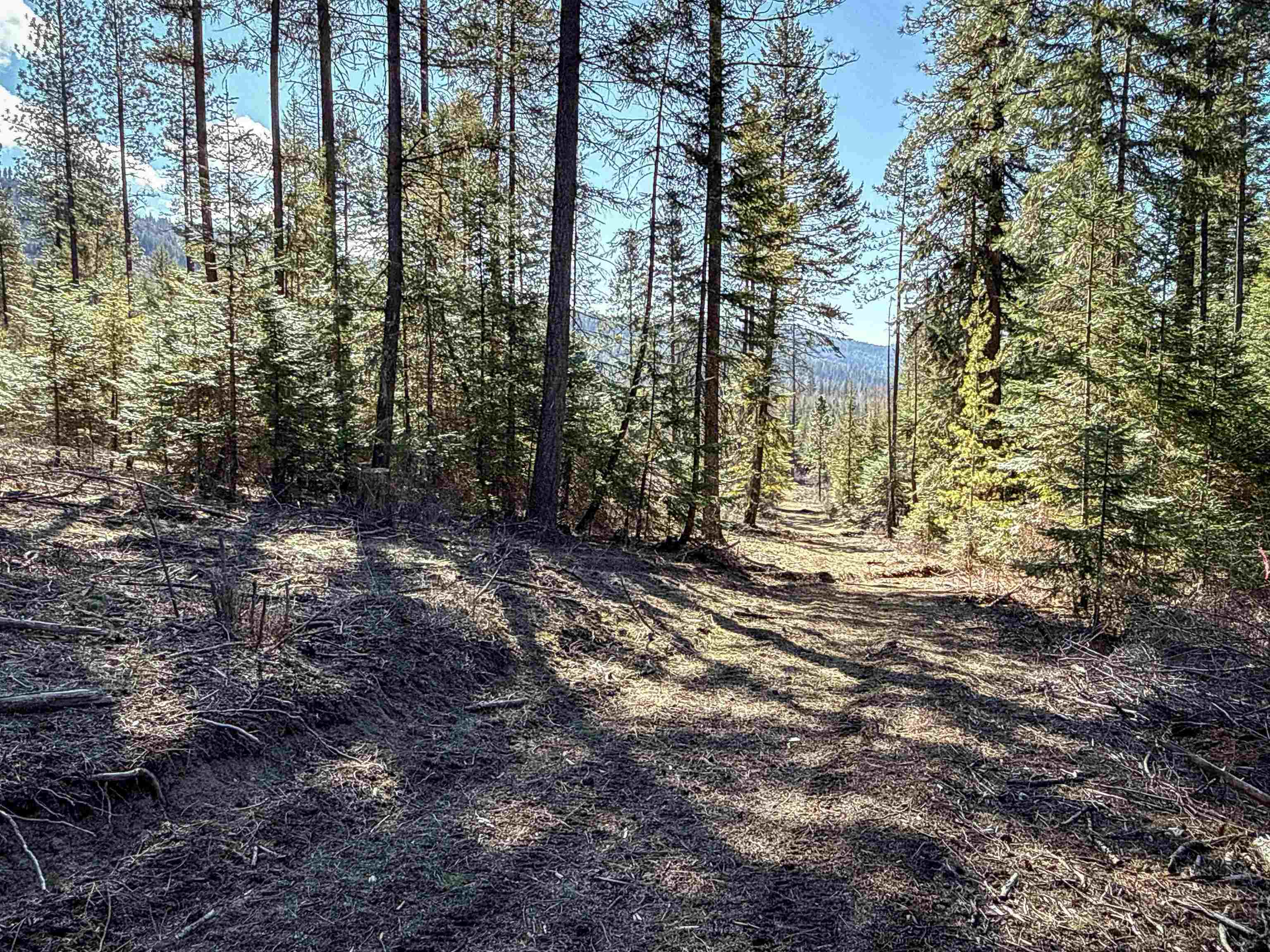 326 Rd Cusick Wa 99119 Road Cusick, WA 99119 - Photo 4 of 39