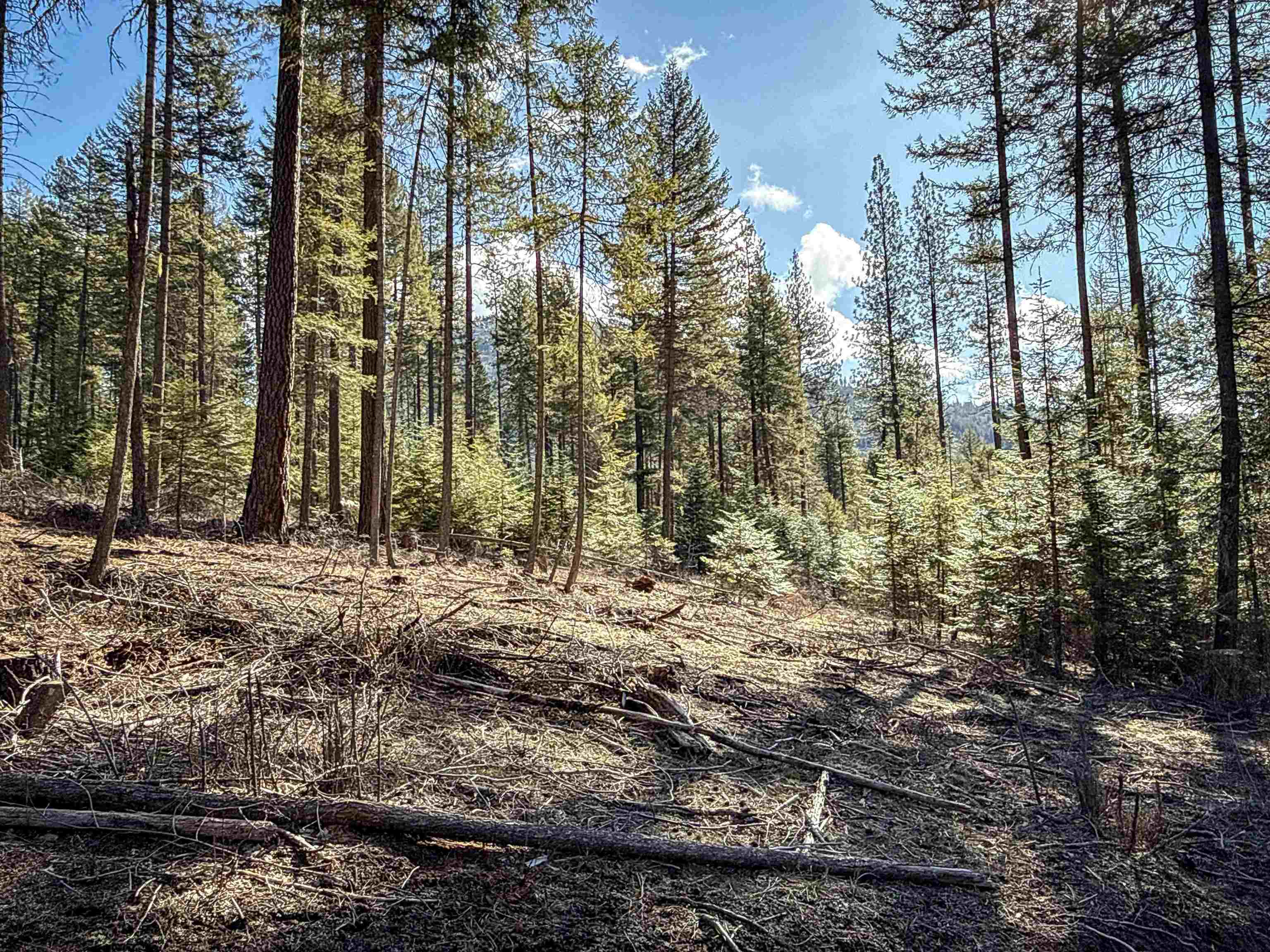326 Rd Cusick Wa 99119 Road Cusick, WA 99119 - Photo 5 of 39