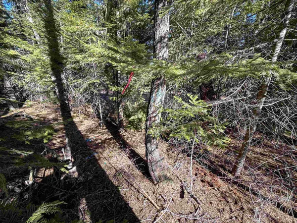 $170,000 | 326 Rd Cusick Wa 99119 Road, Cusick, WA 99119